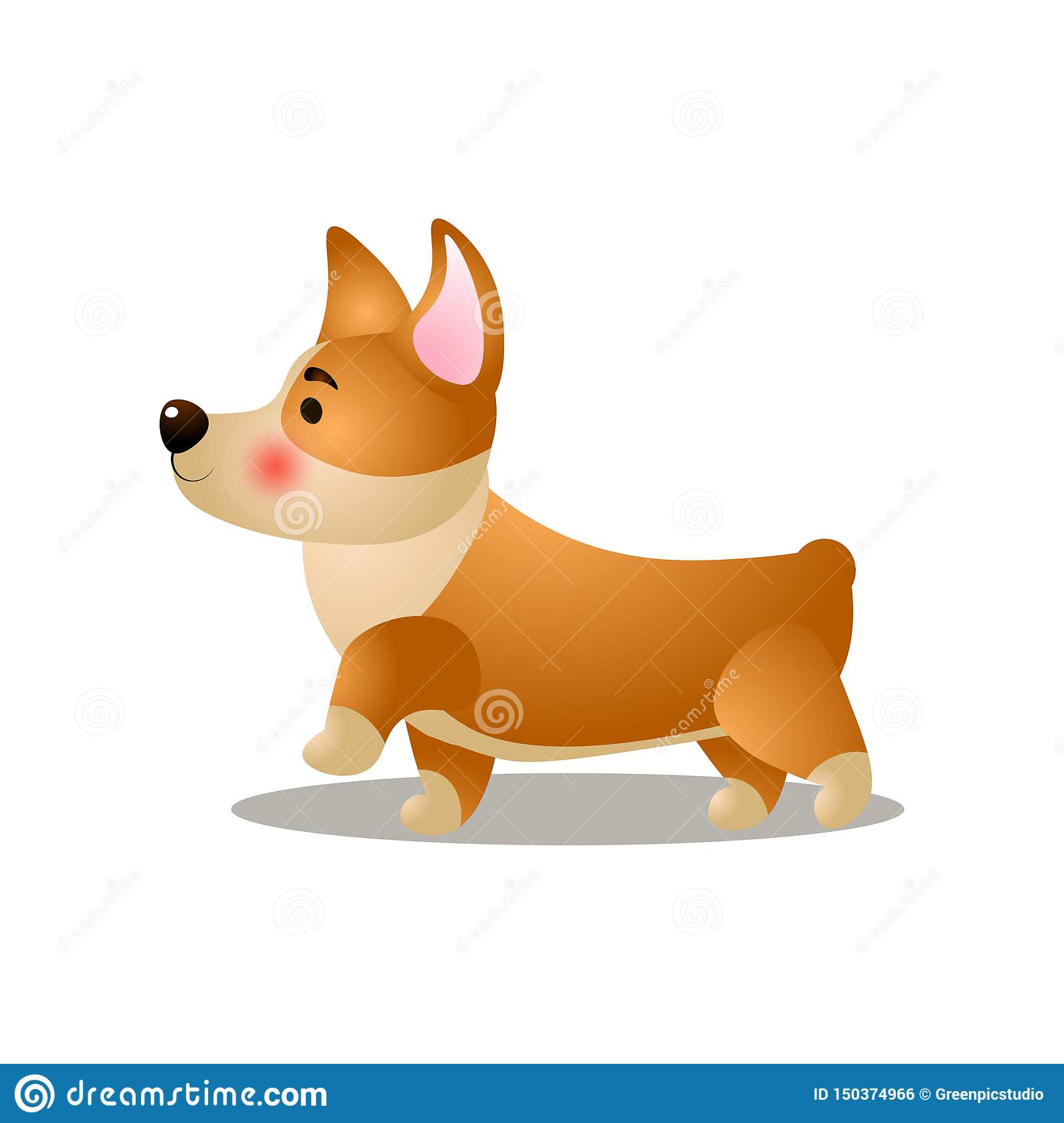 Anti-aging supplements for dogs