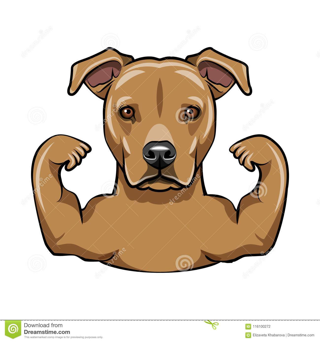 Weight gain and muscle supplements for dogs often include protein.